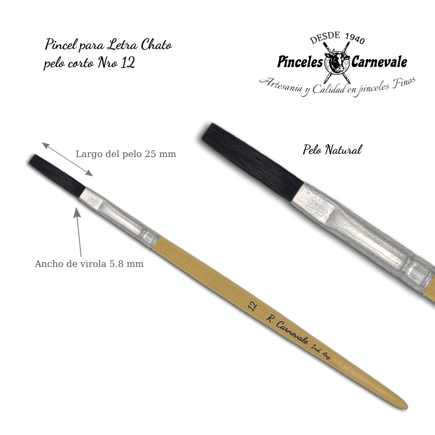 CARNEVALE BRUSHES - Natural Bristle Brushes (Flat)