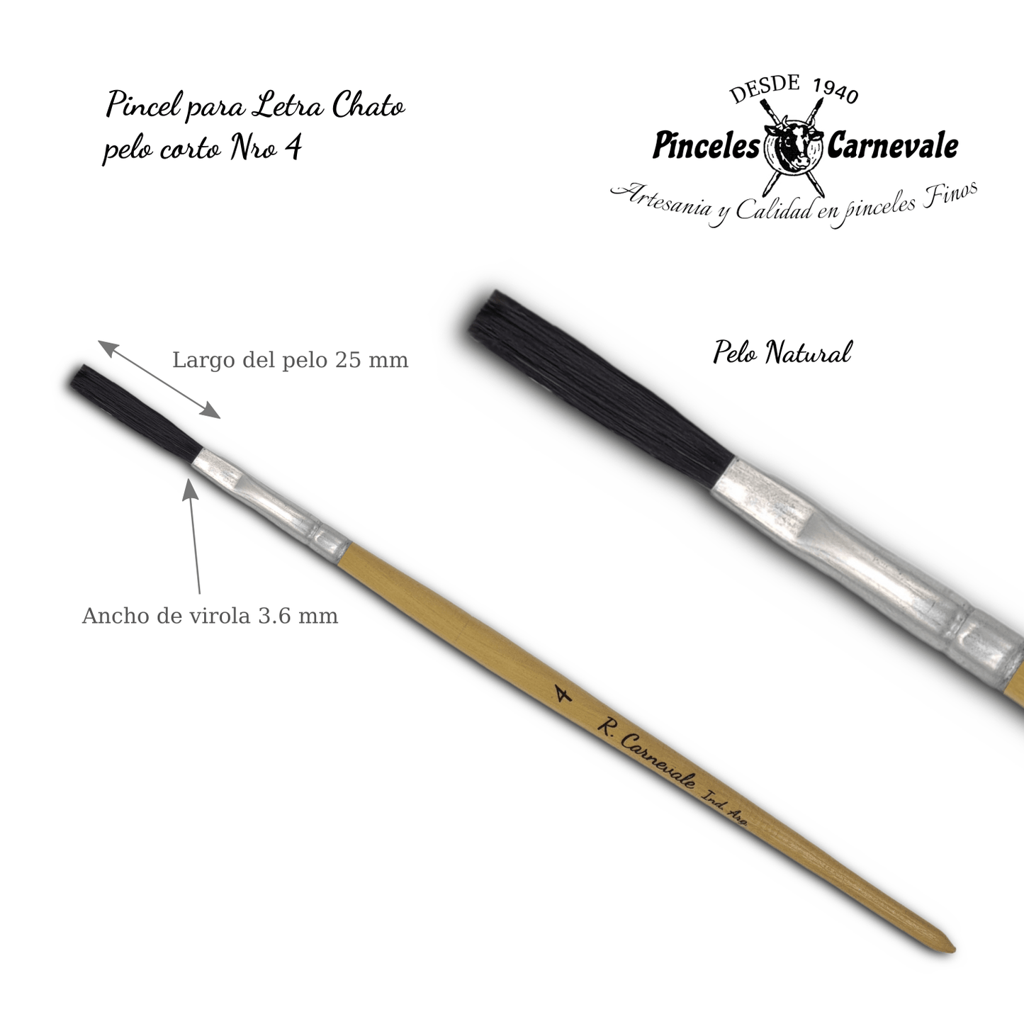 CARNEVALE BRUSHES - 4-Piece Natural Bristle Brush Set (Flat)