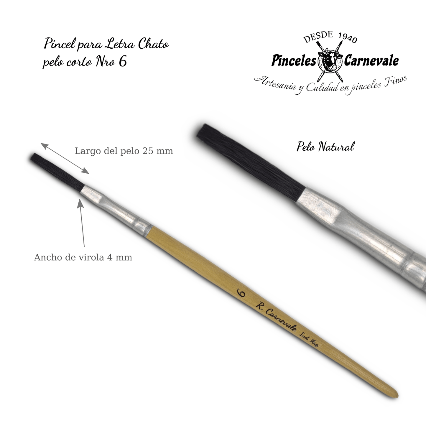 CARNEVALE BRUSHES - Natural Bristle Brushes (Flat)