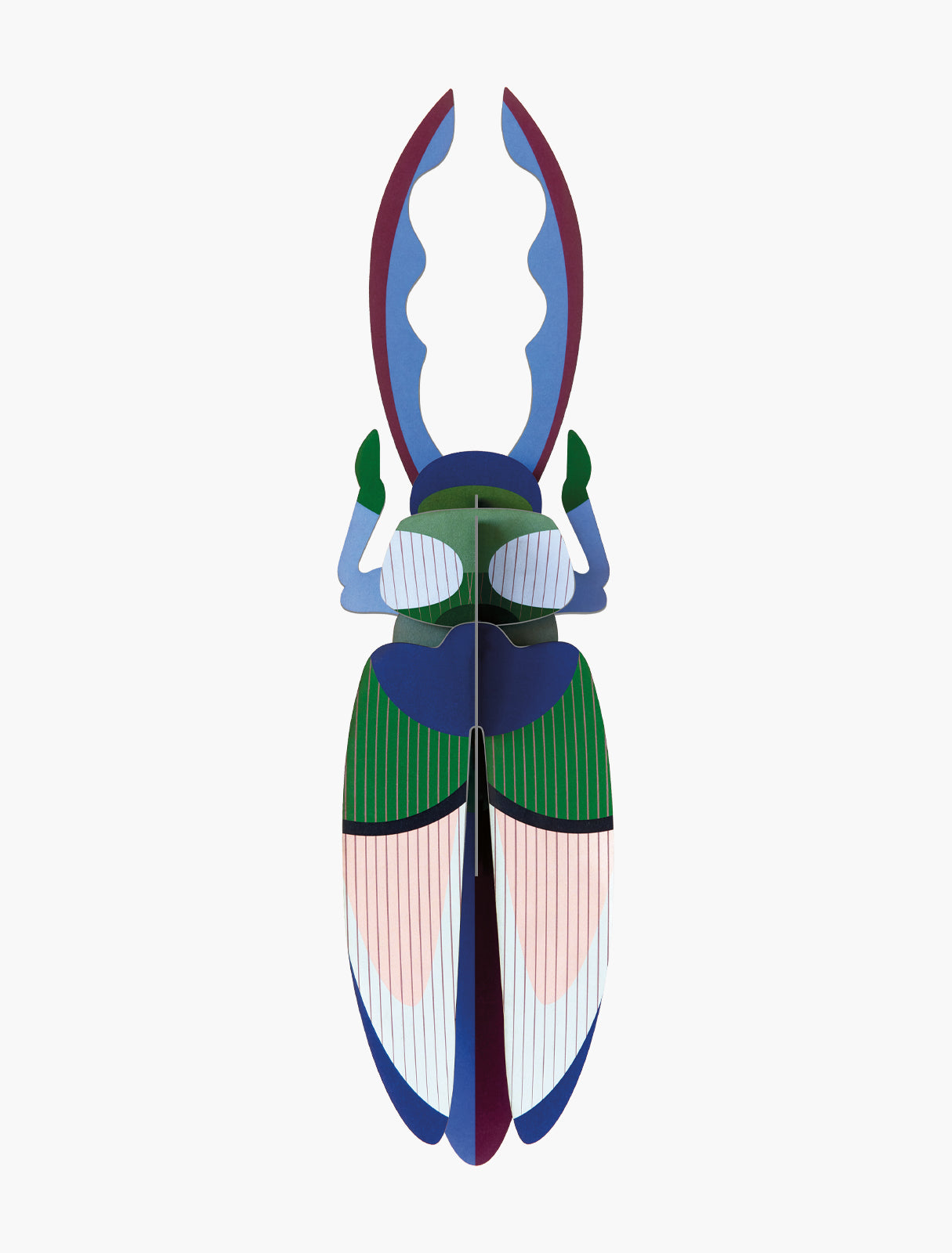 Studio Roof - Lucanidae (Beetle) - Giant Beetles
