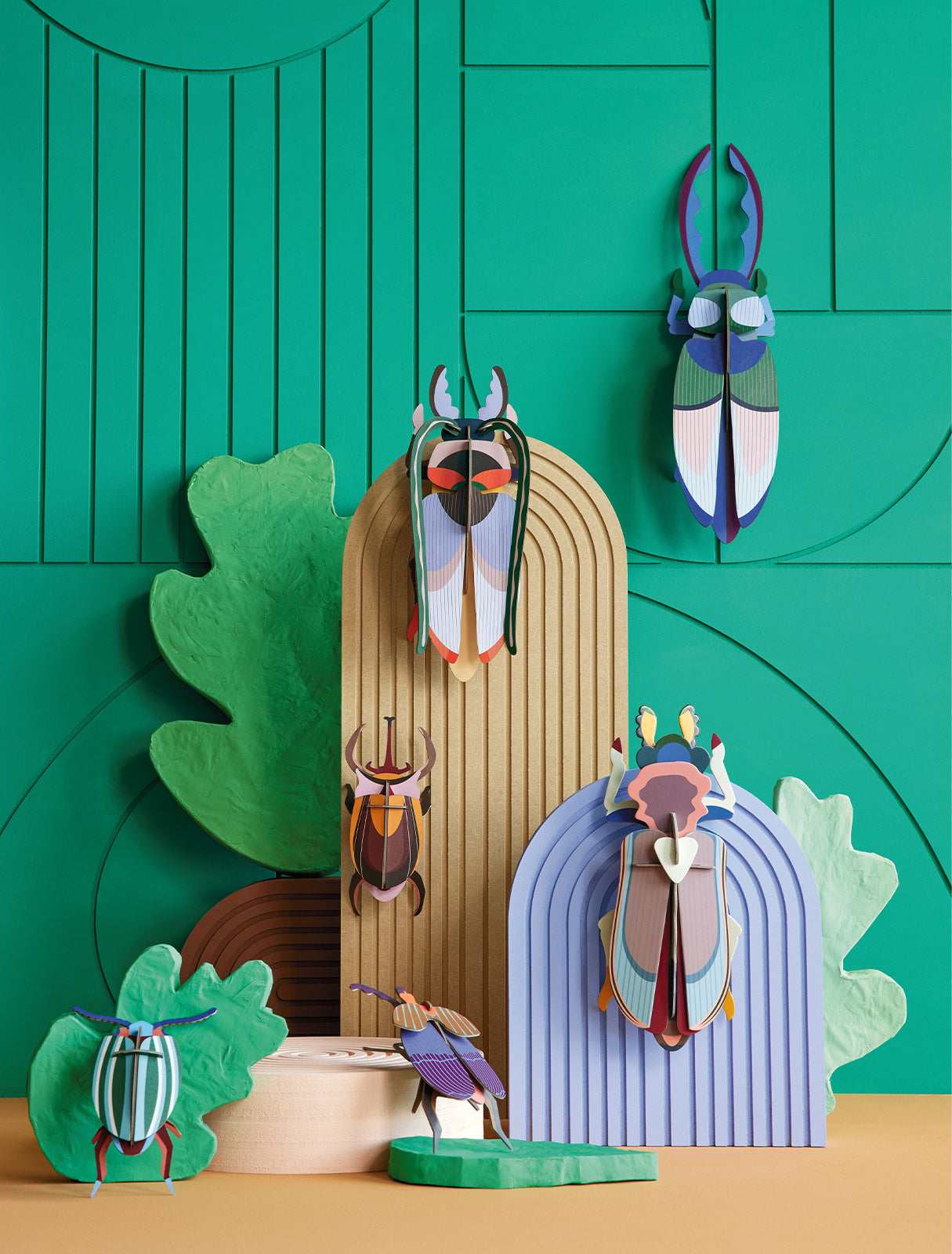 Studio Roof - Lucanidae (Beetle) - Giant Beetles