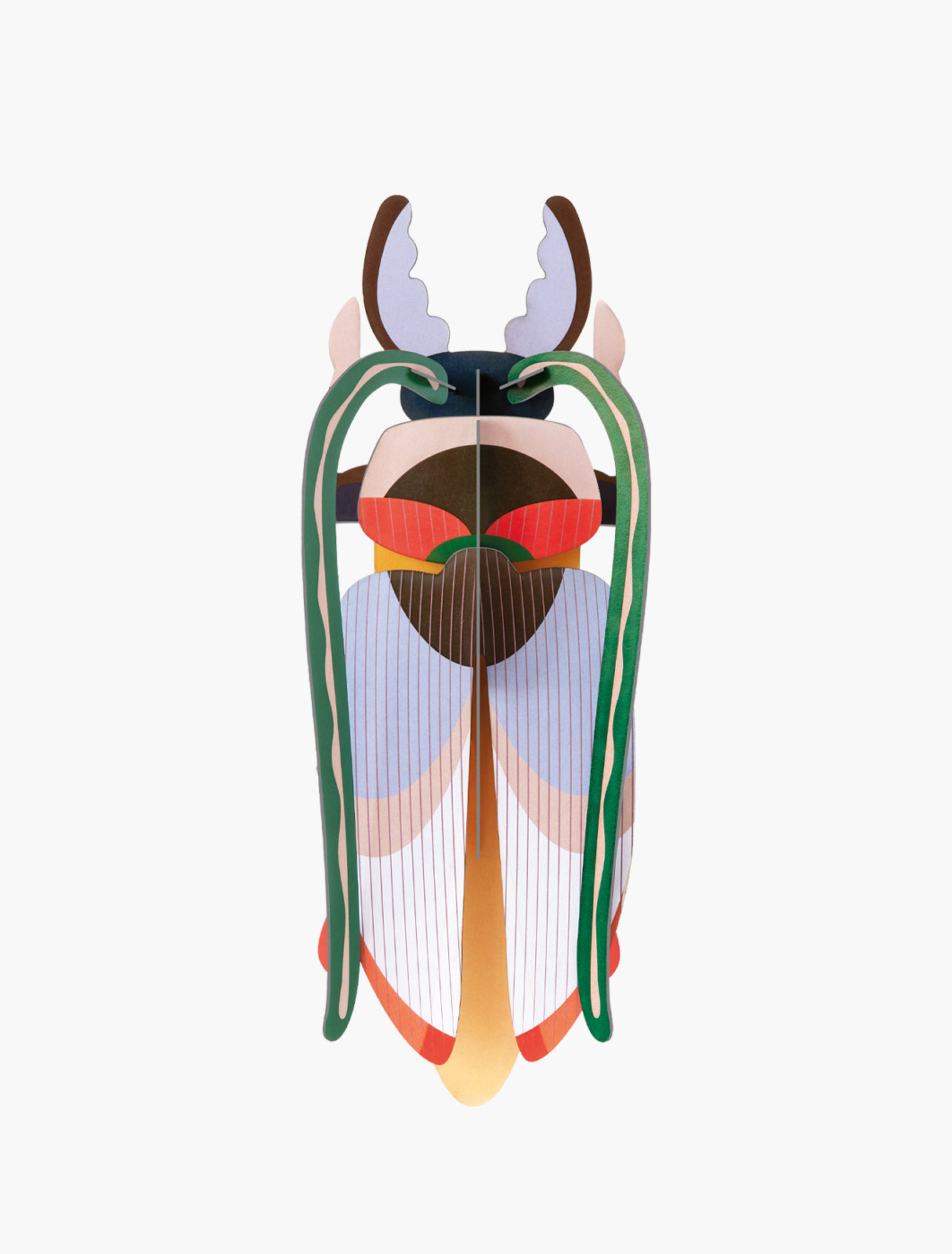 Studio Roof - Lucanidae (Beetle) - Giant Beetles