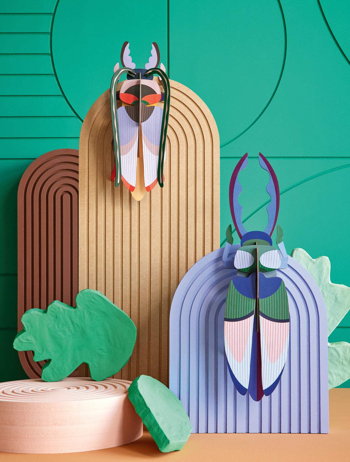 Studio Roof - Lucanidae (Beetle) - Giant Beetles