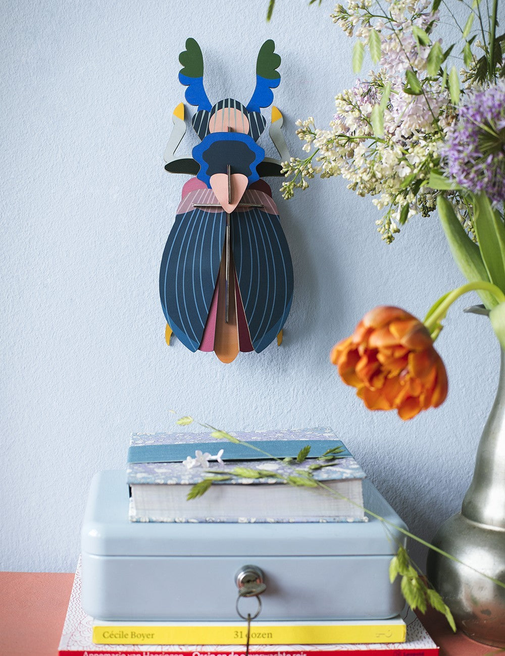 Studio Roof - Lucanidae (Beetle) - Giant Beetles
