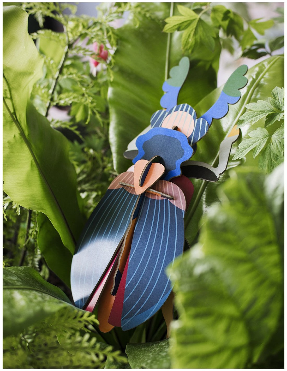 Studio Roof - Lucanidae (Beetle) - Giant Beetles
