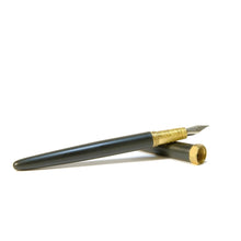 Cargar imagen en el visor de la galería, FERRIS WHEEL PRESS - Limited Edition 2022 Echoes of Eaton Brush Fountain Pen
