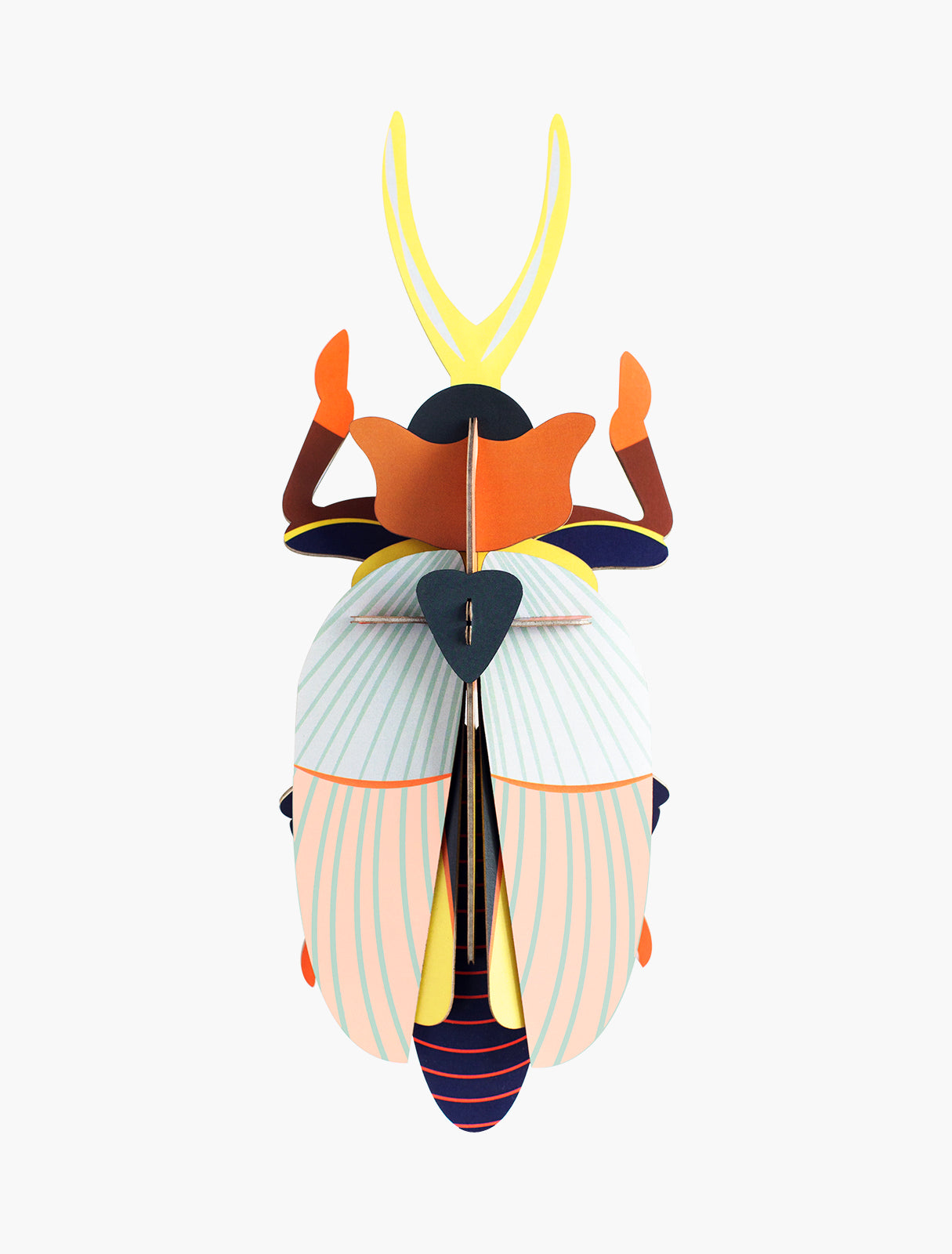 Studio Roof - Lucanidae (Beetle) - Giant Beetles