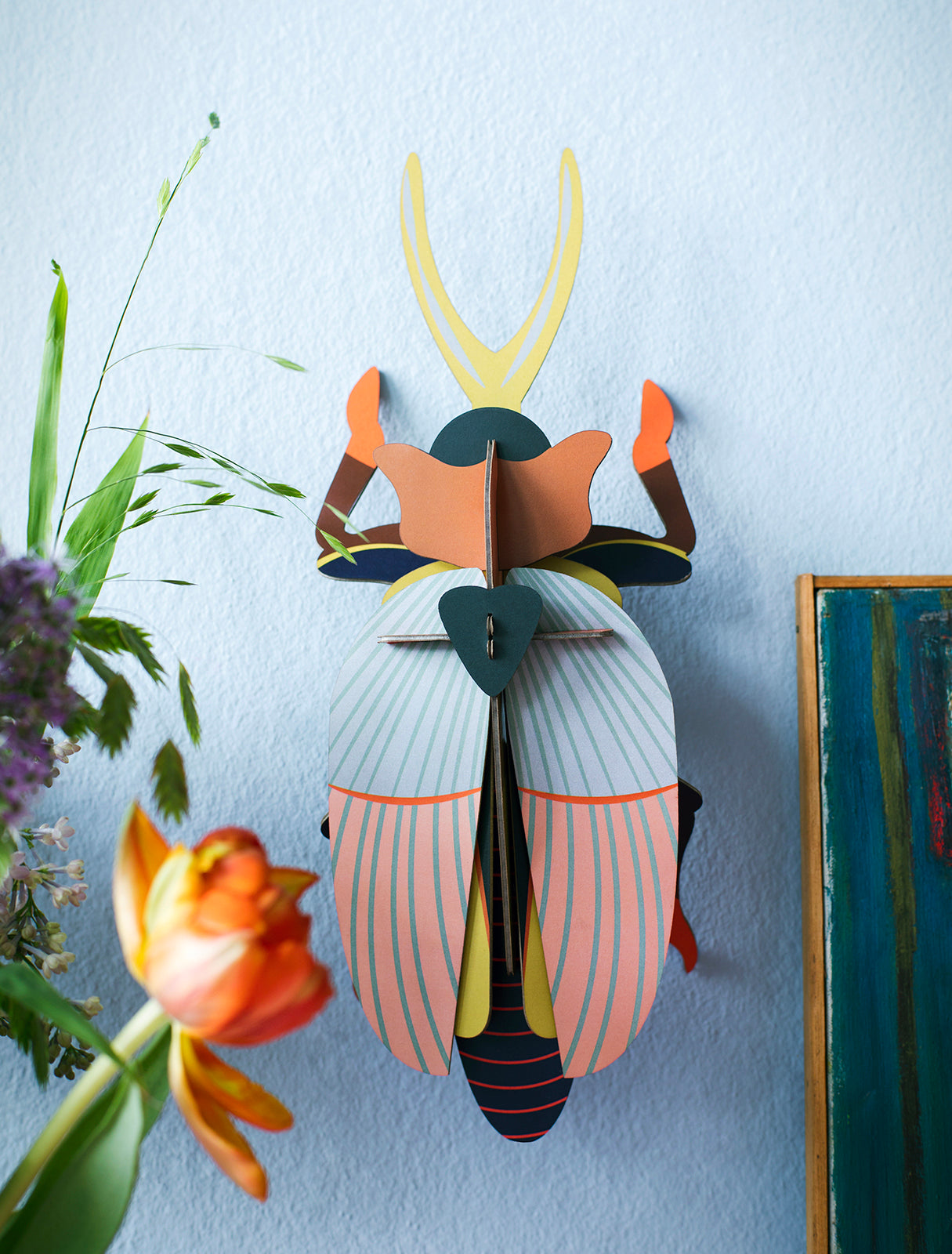Studio Roof - Lucanidae (Beetle) - Giant Beetles