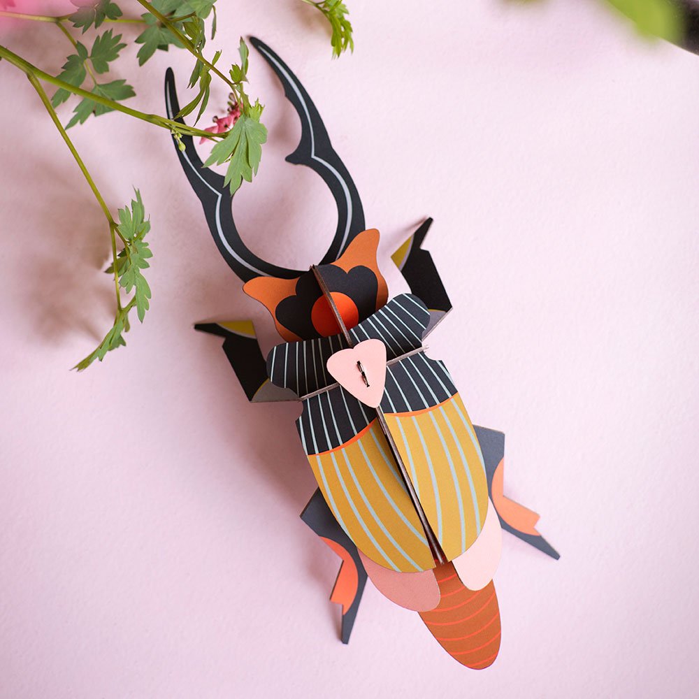 Studio Roof - Lucanidae (Beetle) - Giant Beetles