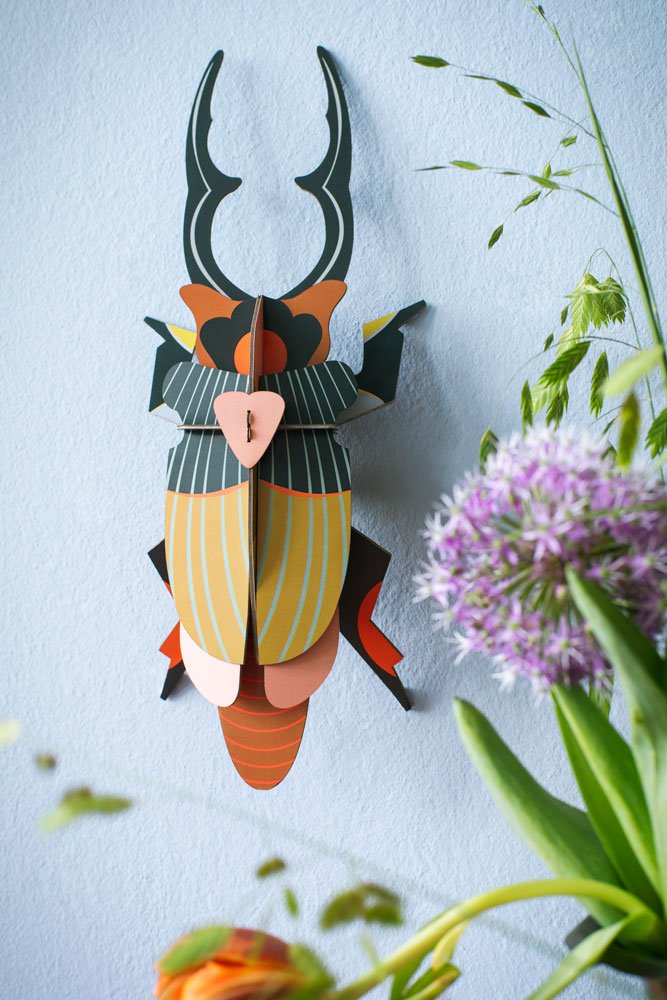 Studio Roof - Lucanidae (Beetle) - Giant Beetles