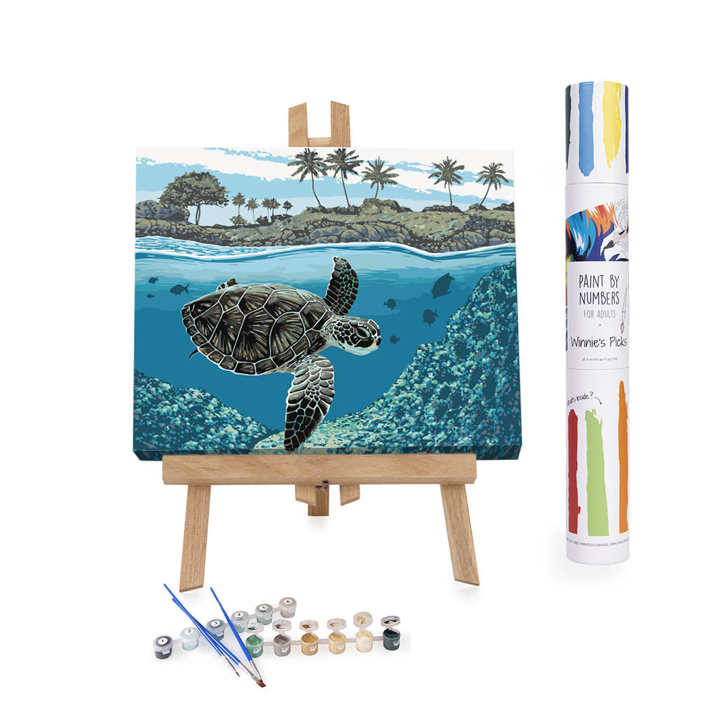 D-Kits Creativos