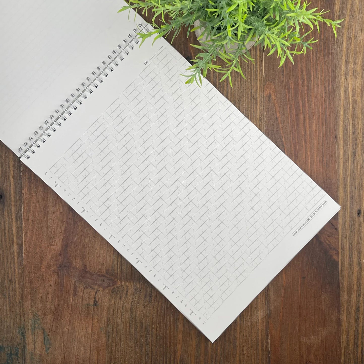 Ash Calligraphy Easy Does It Practice Pad - A4 - Encuadernación en Espiral