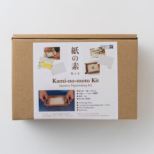 Awagami Washi Papermaking Kit - Kit para Hacer Papel Washi