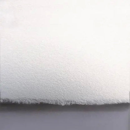 ARNHEM - 1618 Paper Sheets, 22" x 30" - Heavyweight 320 gsm - White (Loose Sheets)