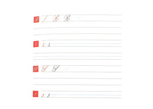Load image into Gallery viewer, LIBRO - BRAUSE - Calligraphy Practice Book
