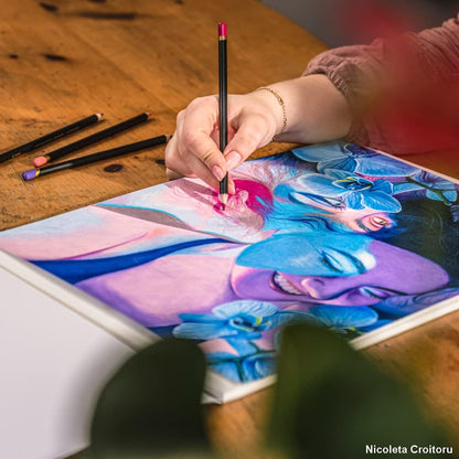 DERWENT - Chromaflow - 12 colors (Colored Pencils)