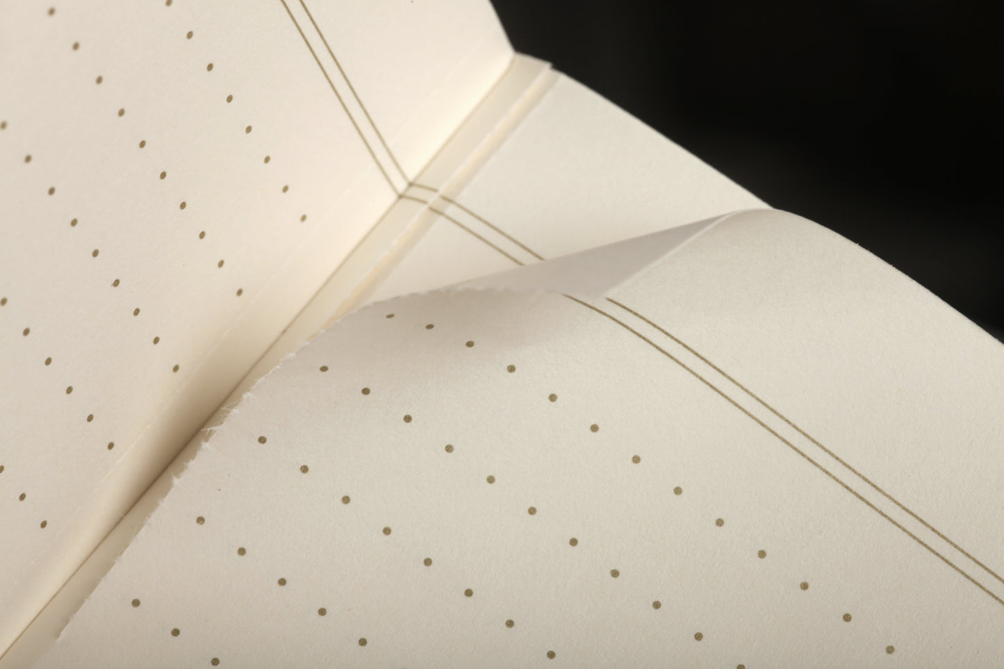 Field Notes Vintage - WINTER 2024 QUARTERLY EDITION - Pack de 3