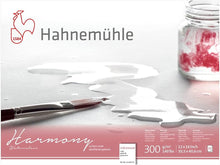 Cargar imagen en el visor de la galería, HAHNEMUHLE - Harmony Watercolor Paper Block (Libreta de Acuarela Bloque 300 GSM)
