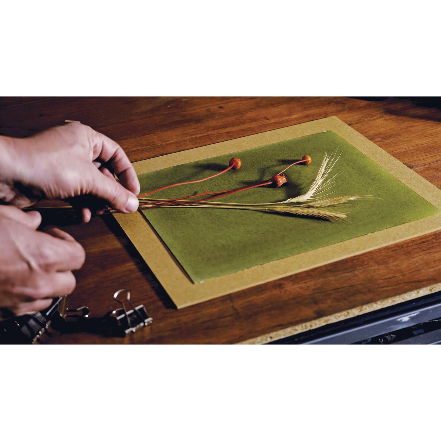 Jacquard Cyanotype Kit - KIt de Cianotipia