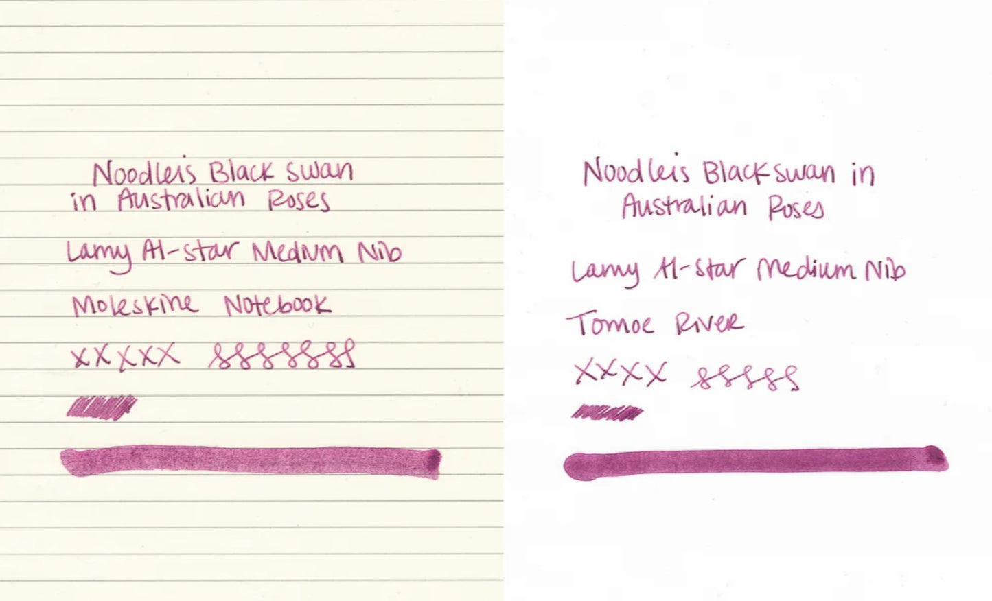 Noodler's Ink Black Swan in Australian Roses - 3oz.