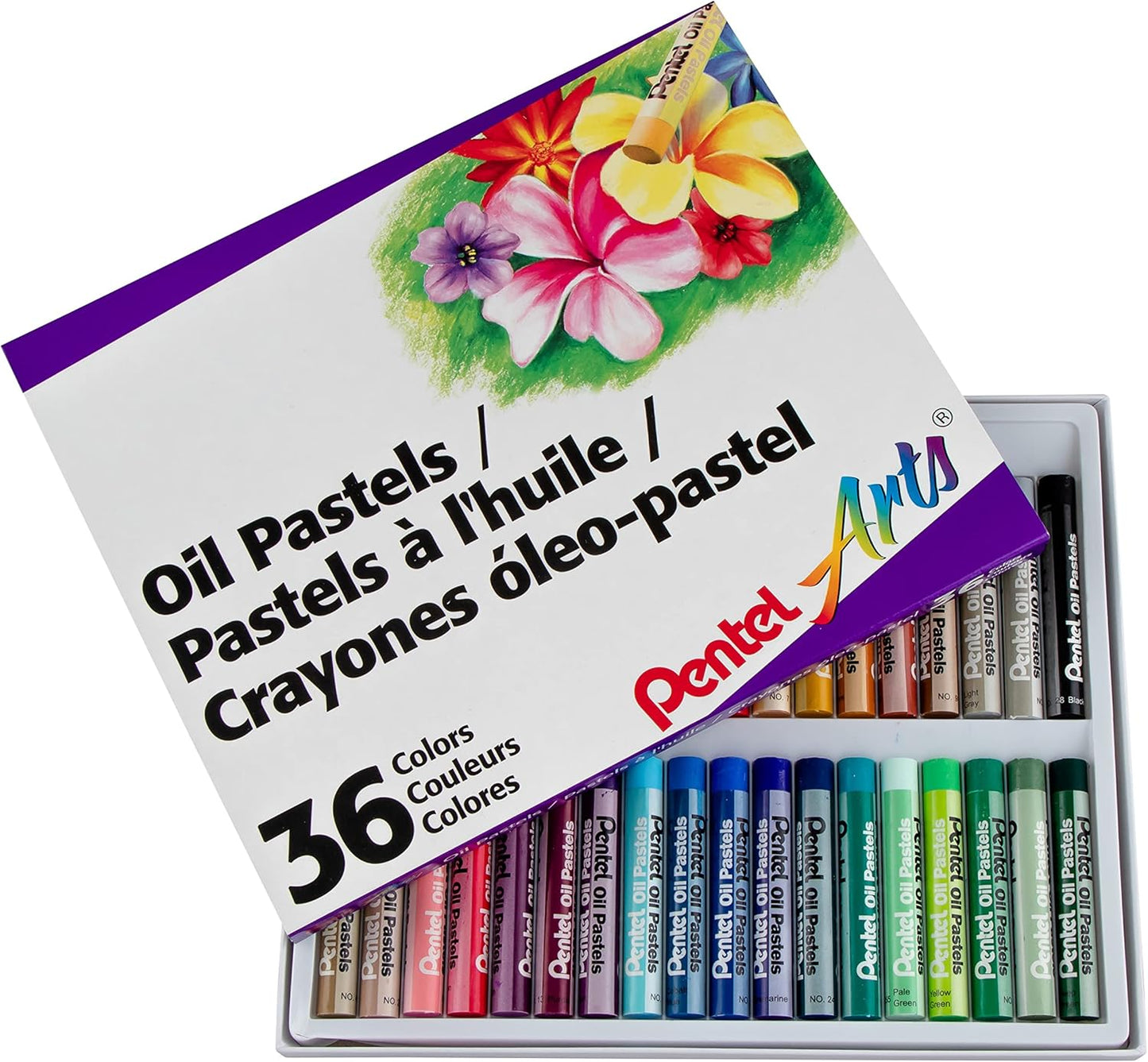 PENTEL - Oil Pastels - Oil Pastel Crayon Sets