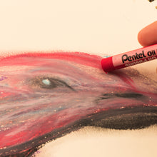 Cargar imagen en el visor de la galería, PENTEL - Oil Pastels - Sets de Crayones Óleo Pastel
