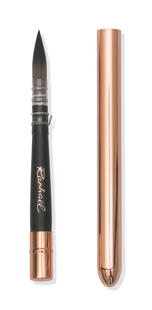 Raphael Le Voyageur Brushes (Pinceles Viajeros)