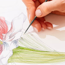 Load image into Gallery viewer, ROYAL BRUSH - Pinceles de detalles - Set de 11 pinceles
