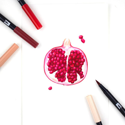 TOMBOW - Dual Brush Pen Set de 6 - Red Blendables