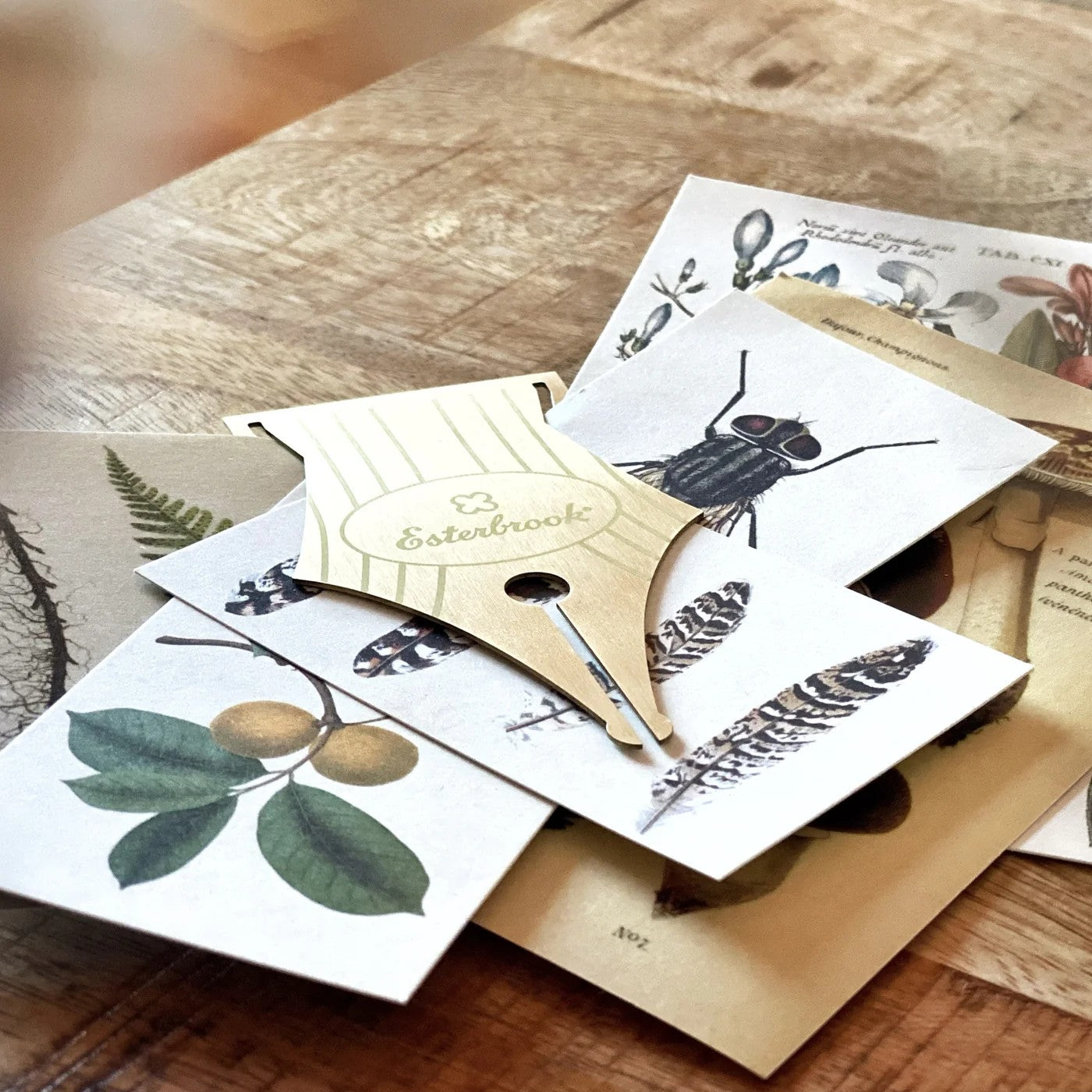 Esterbrook Nib Bookmark