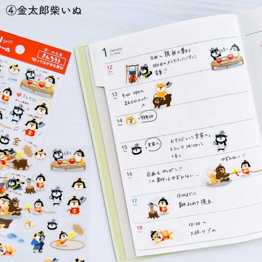 Pine Book - Decoration Deco Sticker