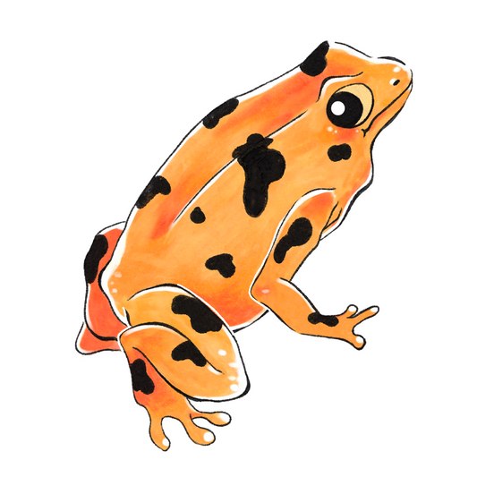 neonAntlion - Sticker Holográfico - Rana Dorada