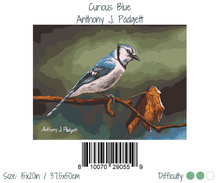 Load image into Gallery viewer, WINNIE´S PICKS - Curious Blue de Anthony J. Padgett
