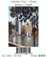 Load image into Gallery viewer, WINNIE´S PICKS - Lakeshore Drive - Chicago de Anthony J. Padgett
