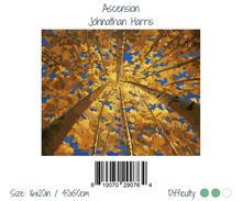 Cargar imagen en el visor de la galería, WINNIE´S PICKS - Ascension de Johnathan Harris
