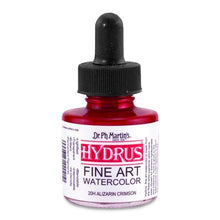 Load image into Gallery viewer, DR. PH. MARTIN&#39;S - Hydrus Fine Art Watercolors
