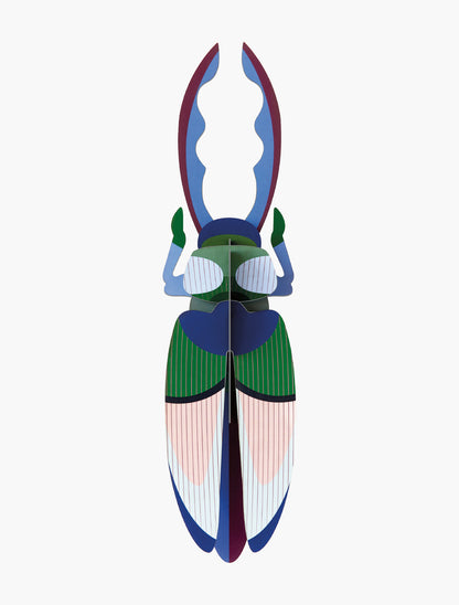 Studio Roof - Lucanidae (Beetle) - Giant Beetles