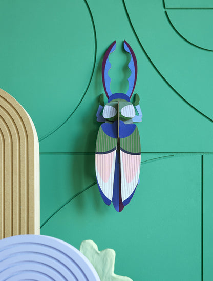 Studio Roof - Lucanidae (Beetle) - Giant Beetles