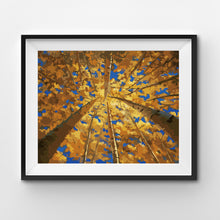 Cargar imagen en el visor de la galería, WINNIE´S PICKS - Ascension de Johnathan Harris
