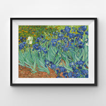 Cargar imagen en el visor de la galería, WINNIE´S PICKS - Irises de Vincent van Gogh
