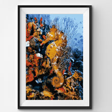 Load image into Gallery viewer, WINNIE´S PICKS - Seahorse At A Magical Reef
