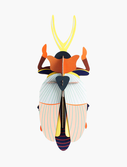Studio Roof - Lucanidae (Beetle) - Giant Beetles