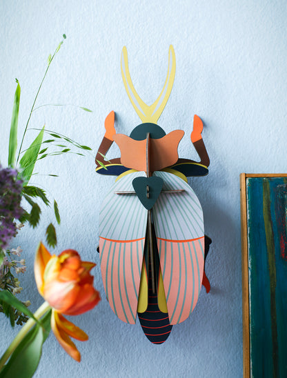 Studio Roof - Lucanidae (Beetle) - Giant Beetles