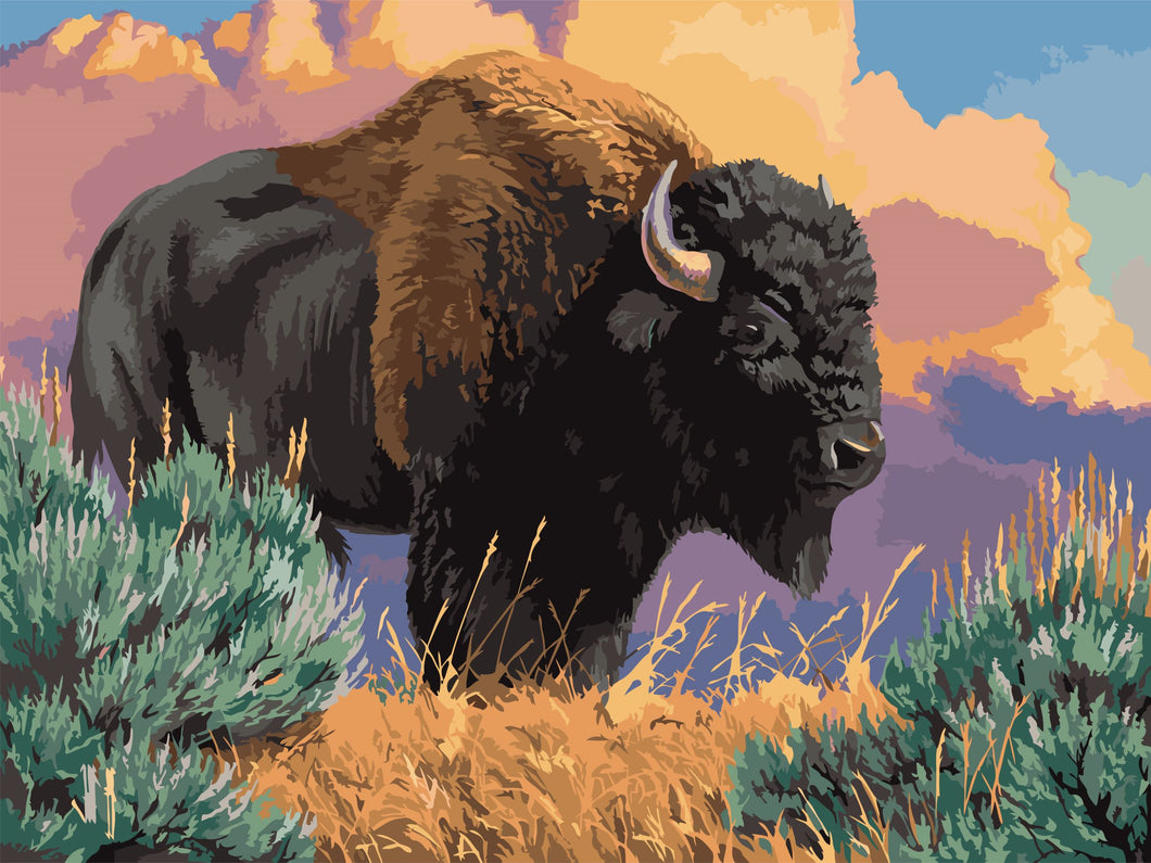 WINNIE´S PICKS - After the Storm Bison