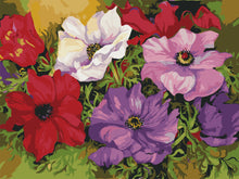 Cargar imagen en el visor de la galería, WINNIE´S PICKS - Anemones
