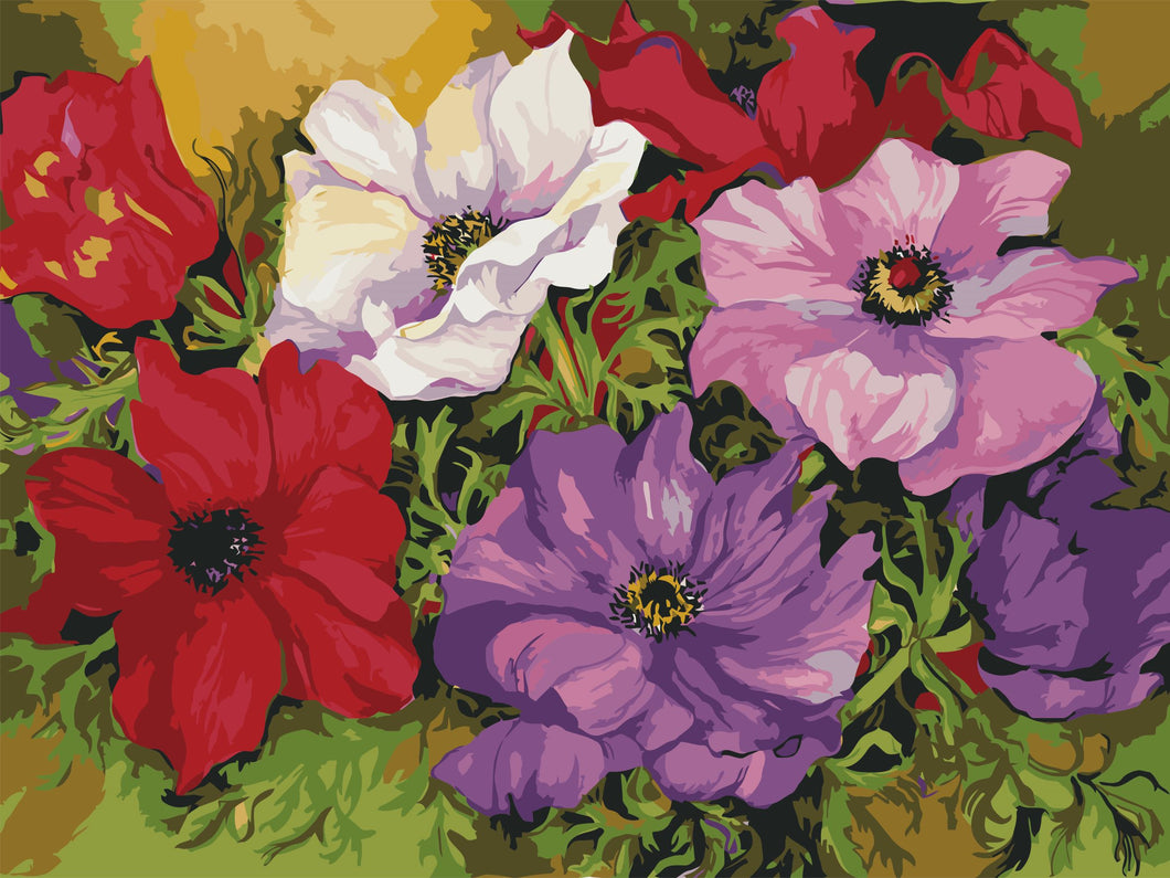 WINNIE´S PICKS - Anemones