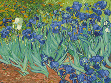 Cargar imagen en el visor de la galería, WINNIE´S PICKS - Irises de Vincent van Gogh
