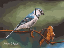 Load image into Gallery viewer, WINNIE´S PICKS - Curious Blue de Anthony J. Padgett
