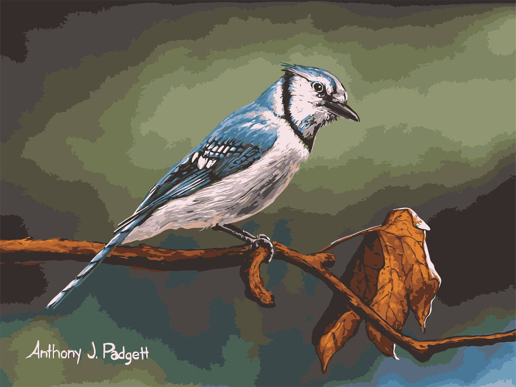 WINNIE´S PICKS - Curious Blue de Anthony J. Padgett