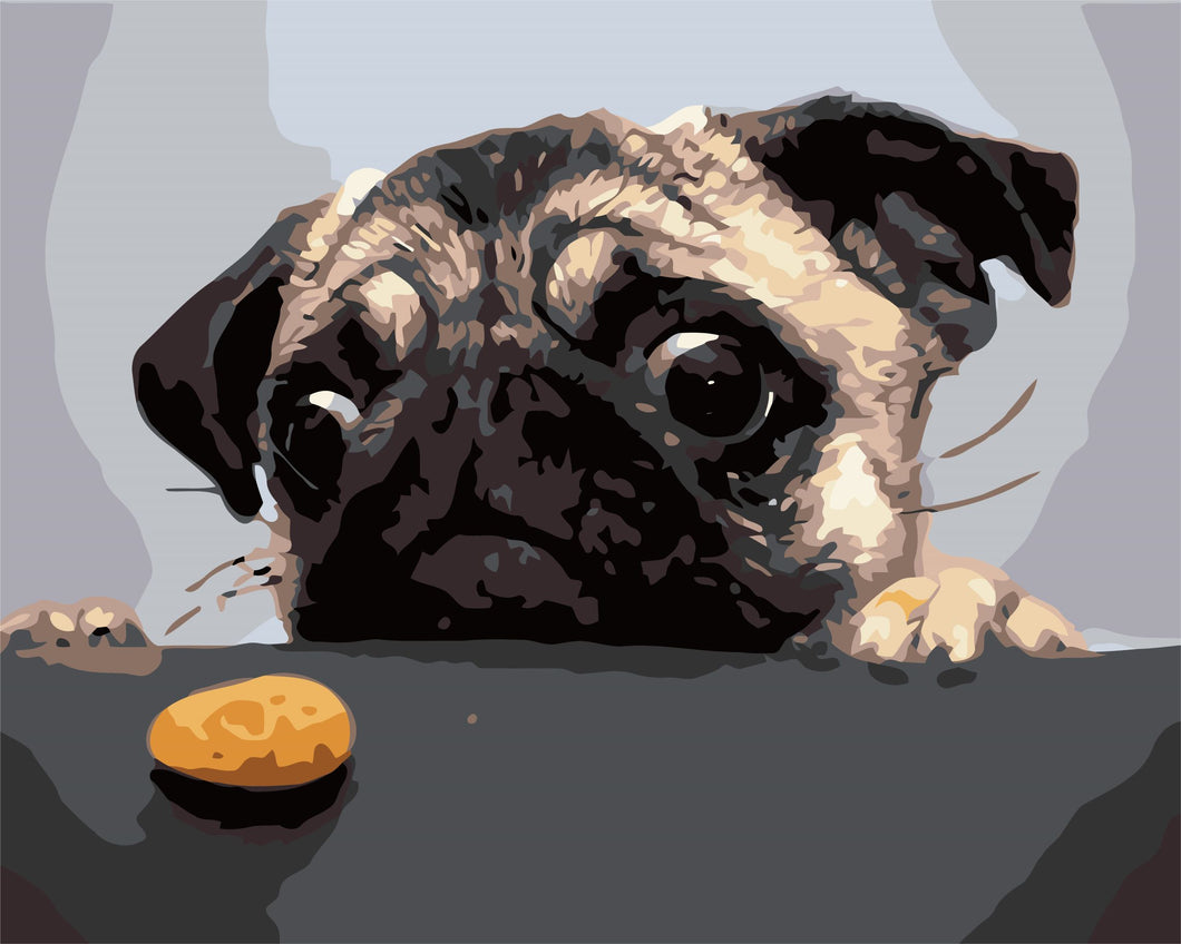 WINNIE´S PICKS - The Hungry Pug